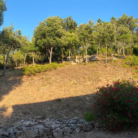 Li Paduleddi Country Guest House Olbia Extérieur photo