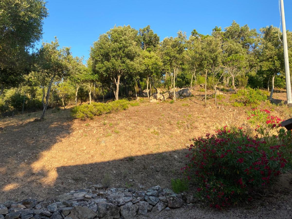 Li Paduleddi Country Guest House Olbia Extérieur photo