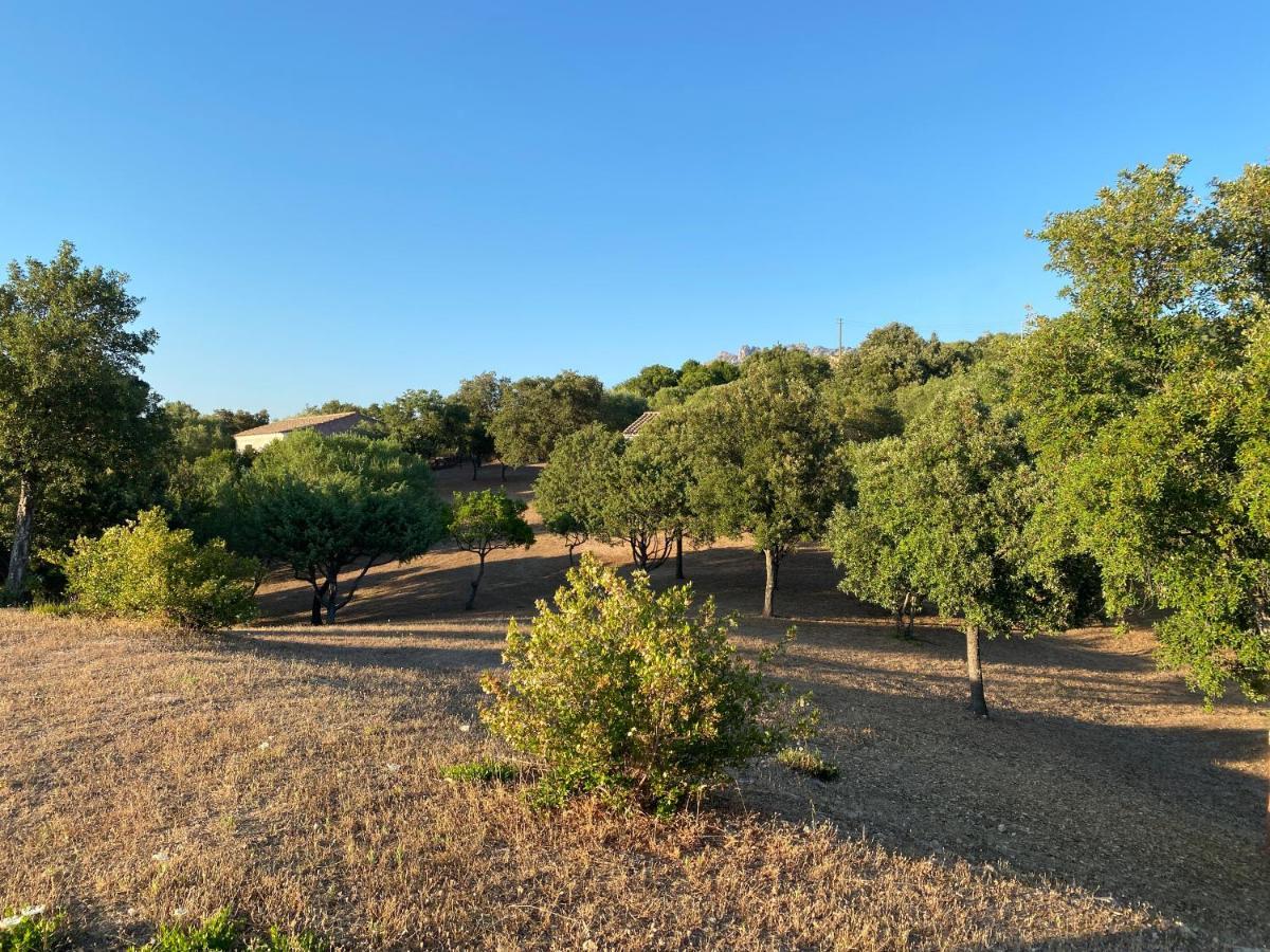 Li Paduleddi Country Guest House Olbia Extérieur photo
