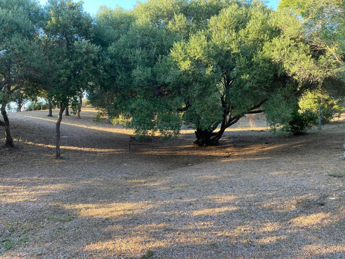 Li Paduleddi Country Guest House Olbia Extérieur photo
