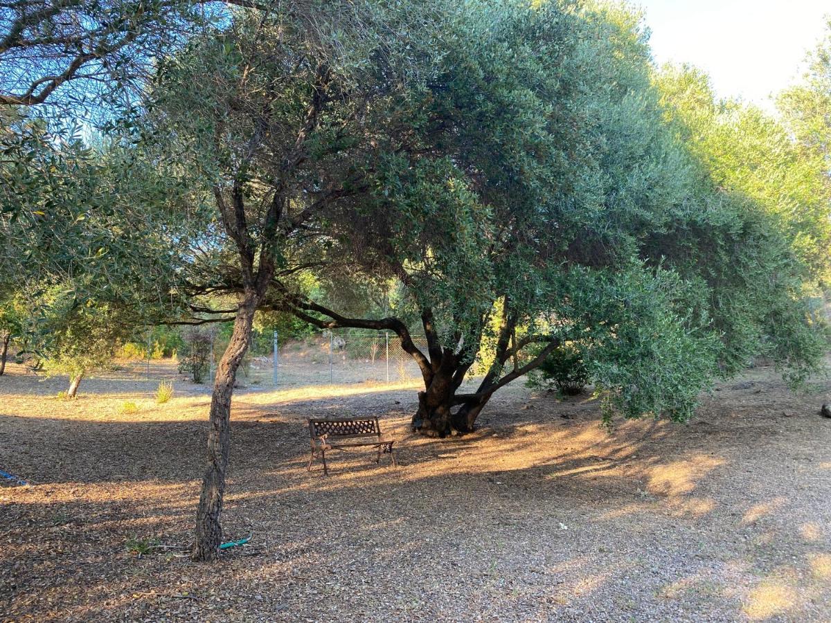 Li Paduleddi Country Guest House Olbia Extérieur photo