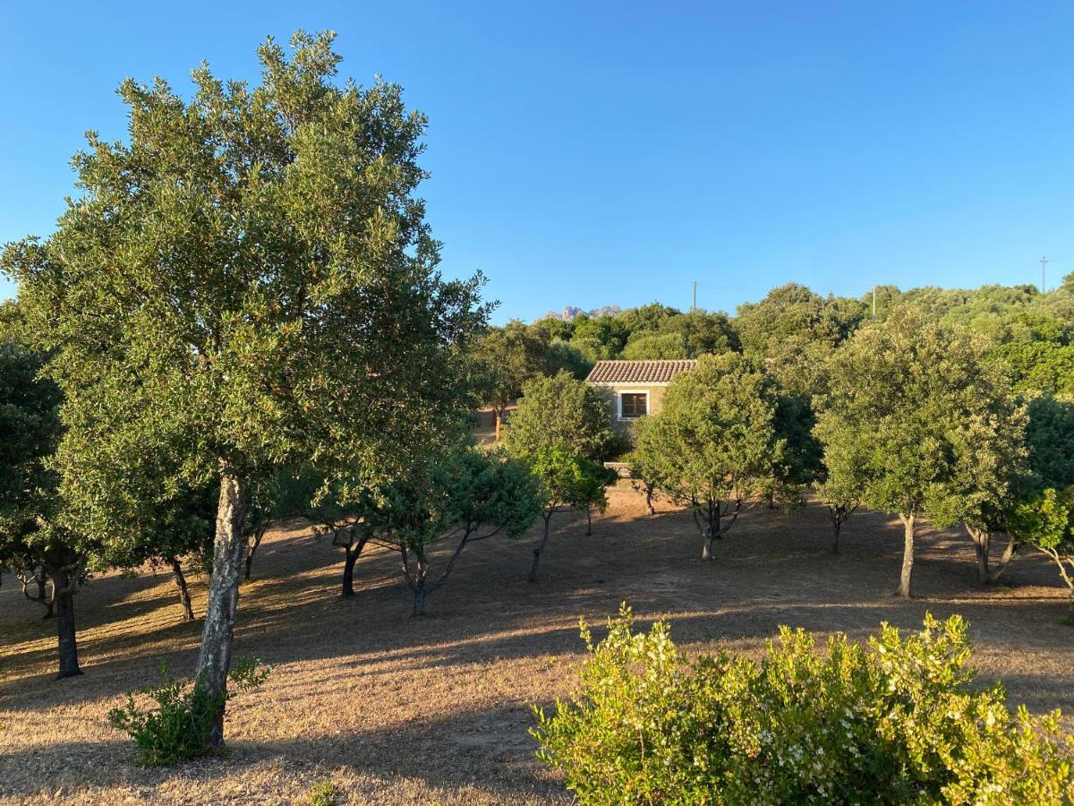 Li Paduleddi Country Guest House Olbia Extérieur photo