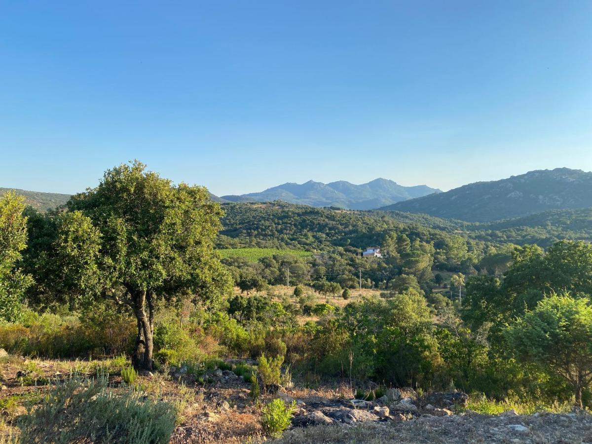 Li Paduleddi Country Guest House Olbia Extérieur photo